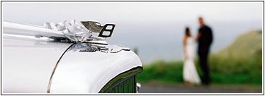 Wedding - Bentley