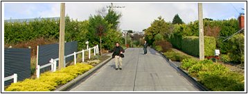 Baldwin Street, Dunedin. The world's steepest street