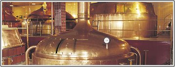 Speights Brewery - Brewing Kettles
